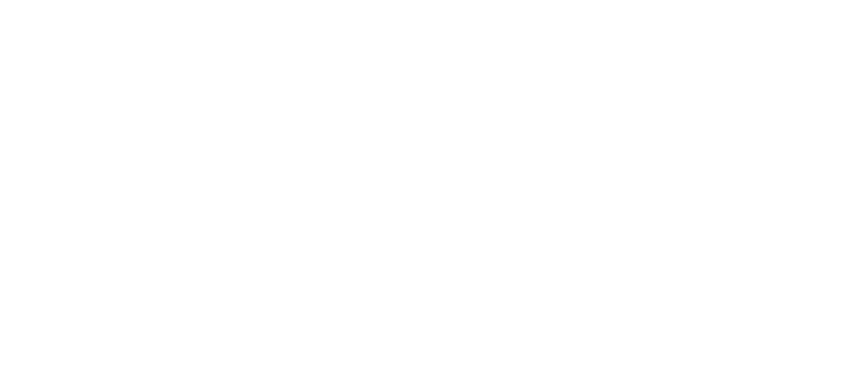 Wssa Logo Full White