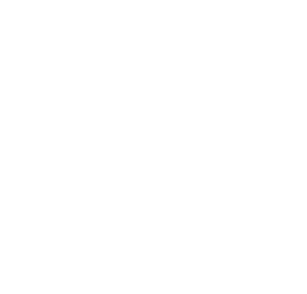 Map Icon