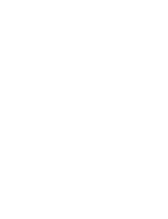 Secure Checkout Icon